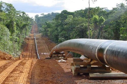 Pipeline : comment Boko Haram a fait perdre au Cameroun des milliards de FCFA de droit de transit du pétrole nigérien