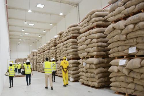 Cacao : le Japon appuie la construction d’une usine de transformation de fèves à Ebolowa, au Sud du Cameroun