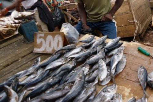 À Yaoundé, le poisson a fait grimper les prix à la consommation finale des ménages au mois de mars 2021