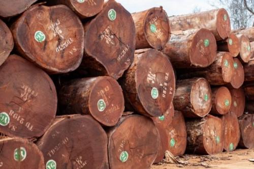Bois et hydrocarbures font baisser les exportations (-1%) au Cameroun au 2e trimestre 2022 (INS)