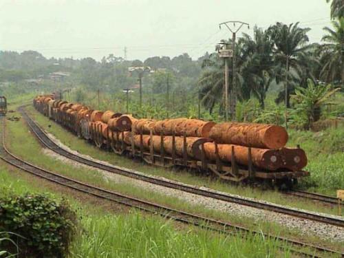 Le chiffre d’affaires de Sitrafer chute de 88% après l’arrivée de concurrents sur le chemin de fer camerounais