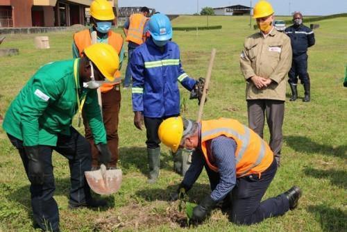 Camrail plante 150 arbres le long de la voie ferrée, à l’occasion de la journée mondiale de l’environnement