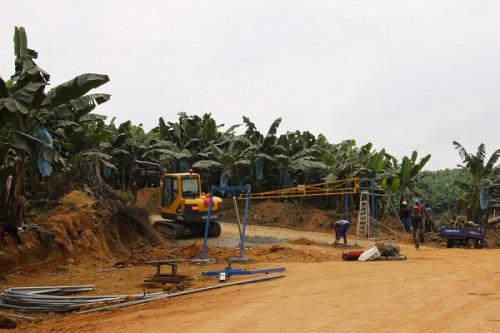 Bananes : la baisse de régime à la PHP fait chuter les exportations camerounaises de 484 tonnes en juin 2021