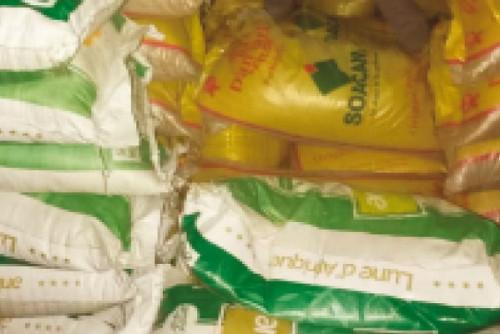 182 sacs de riz à destination du Nigeria saisis par la douane, dans la région du Nord du Cameroun