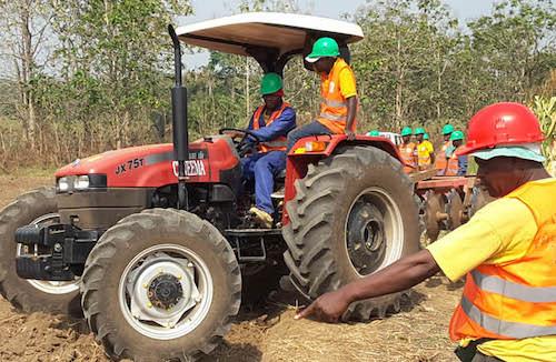 Paul Biya remercie Ernest Ela Evina, DG du Centre national du machinisme agricole, en poste depuis 45 ans