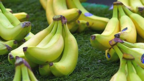 En dépit des difficultés de la CDC, le Cameroun affiche des exportations de bananes en hausse de 3 817 tonnes au premier trimestre 2019  