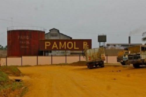 L’agro-industriel Pamol construit une nouvelle huilerie pour porter sa production annuelle à 28 000 t en 2022