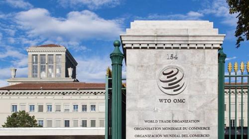 Le Cameroun suspendu de l’OMC pour n’avoir payé ses cotisations à hauteur de 180 millions de FCFA