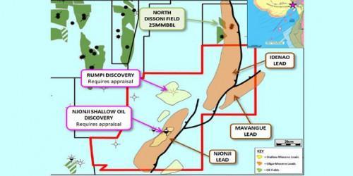 Cameroun : Tower Resources choisit Oilfield International pour évaluer le potentiel pétrolier de la licence Thali