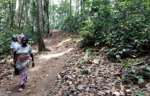 Les peuples autochtones Baka du Cameroun plaident pour la sécurisation de leurs terres forestières estimées à 60 000 ha