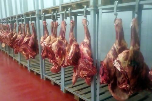 Viande bovine : embellie annoncée dans la filière locale au 3e trimestre 2022, malgré l’insécurité dans le Nord-Ouest