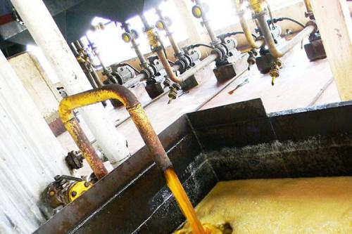 Le Cameroun recherche des fournisseurs pour trois unités d’extraction d’huile de palme avec mini centrales électriques