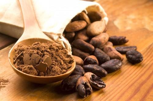Le Cameroun inaugure ses trois premiers centres d’excellence de traitement post-récolte du cacao