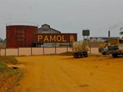 L'Etat du Cameroun débloque 1,2 milliard FCFA pour régler 7 mois d’arriérés de salaire au sein de l'agro-industriel Pamol