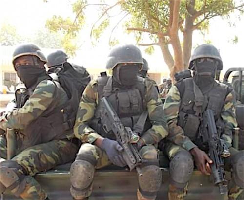 L’armée camerounaise libère 150 otages nigérians de Boko Haram dans la localité de Ngoshe