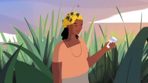 Transformation Digitale pour l’agriculture en Afrique : Huawei prêt à accompagner le Cameroun