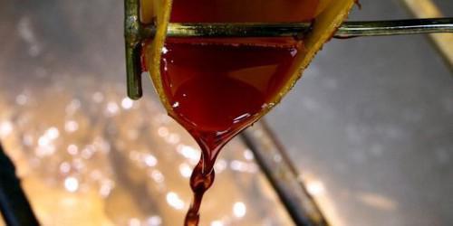 Le Gabon fait une offre d’exportation d’huile de palme brute aux raffineurs camerounais