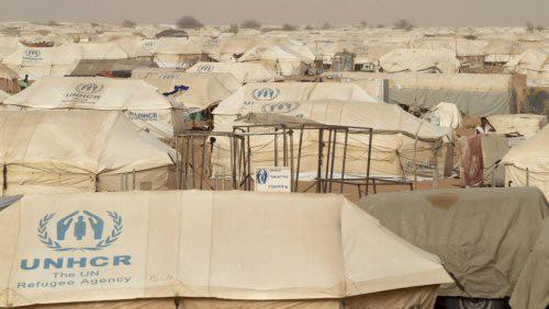 Le Haut-Commissariat pour les réfugiés en guerre contre l’apatridie dans l’Extrême-Nord du Cameroun