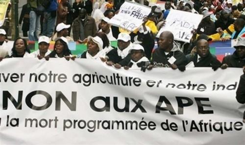 Cameroun : l’UE met 6,5 milliards de FCfa sur la table pour préparer la ratification de l’APE d’étape