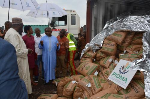 Cameroun : 1000 tonnes de semences hybrides de maïs pour procurer 24 milliards FCFA de revenus aux producteurs en 2018