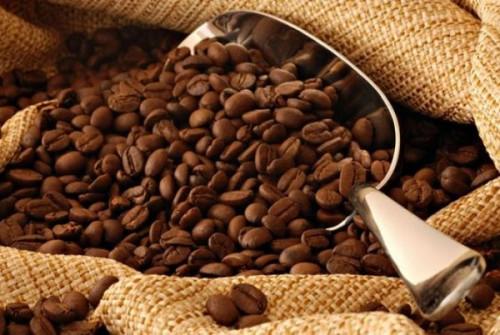 Café : à un minimum de 525 FCFA le kg, le robusta camerounais atteint son prix le plus élevé depuis un an