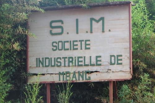 Filière bois : la Société industrielle de Mbang échoue à augmenter son capital à 4,7 milliards de FCFA