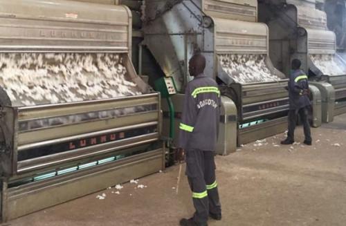 La Sodecoton décroche un financement de 64 milliards de FCFA de la BID, pour l’achat du coton graine, les intrants…