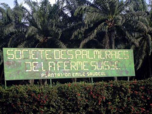 La Société des palmeraies de la ferme suisse au Cameroun a dégagé un bénéfice de 123 millions FCFA en 2017