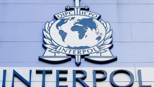 Interpol entend mutualiser ses efforts pour lutter contre le terrorisme en Afrique centrale et de l'Ouest