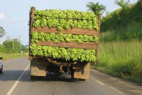 Corridor Cameroun-Gabon : un transporteur est contrôlé 44 fois et paie 1,5 million de FCFA de pots-de-vin (rapport)