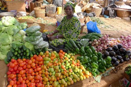 Cultures vivrières : la production au Cameroun devrait s’améliorer à fin juin 2023, malgré les prix des intrants
