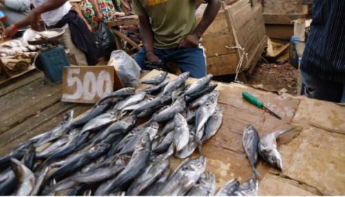 La BAD approuve un financement de plus de 55 milliards FCFA pour soutenir la production du bétail et du poisson au Cameroun