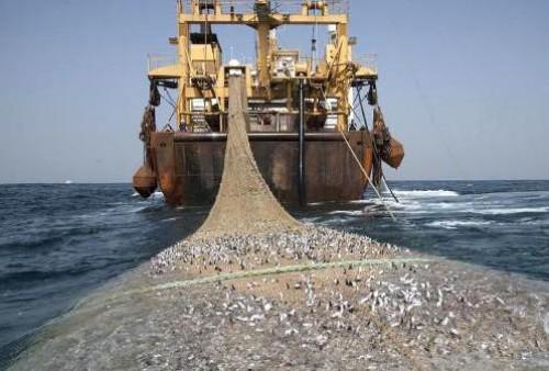 22 navires étrangers ont été arraisonnés au large des côtes camerounaises pour pêche illicite, en 2014 et 2015