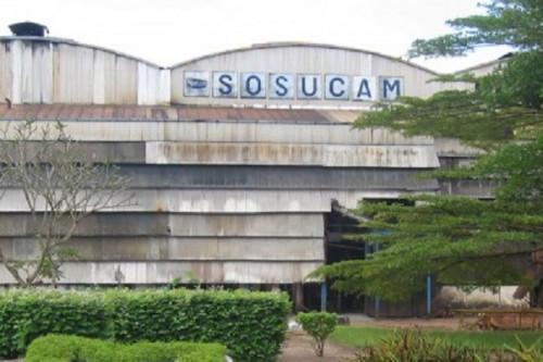 À l’approche des fêtes de fin d’année, la Sosucam redoute l’invasion du marché camerounais par le sucre de contrebande