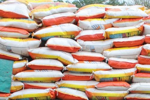 Les importations de riz du Cameroun progressent de 23% au premier semestre 2021