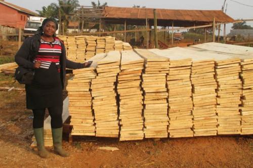 Grâce à la FAO, des PME camerounaises ont pu acquérir 2000 m³ de bois issus de sources légales entre 2019 et 2020