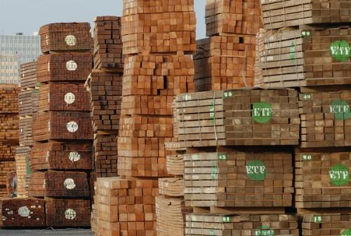 Baisse des exportations camerounaises des bois sciés vers les États-Unis en août 2019