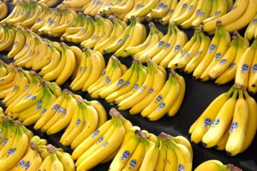 Malgré l’arrêt de la CDC, les exportations de bananes du Cameroun ont été plus dynamiques en 2019 qu’en 2018