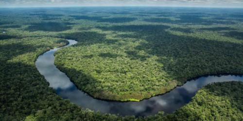 Cameroun : le Fonds pour l’environnement mondial octroie 13 millions $ pour la préservation du bassin du Congo