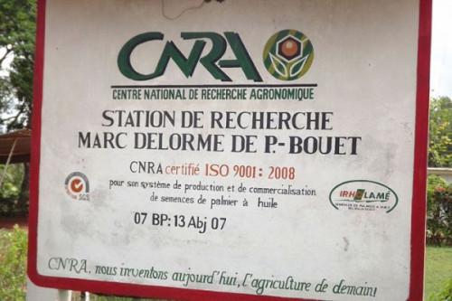Huile de palme : le Centre de recherche agronomique de Côte d’Ivoire sollicité pour un projet à l’Est-Cameroun