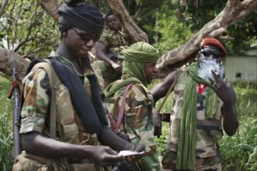 Nouvelle incursion de rebelles centrafricains en territoire camerounais