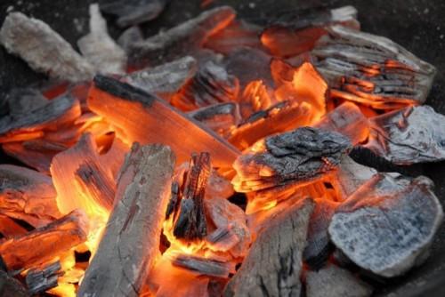 Cameroun : bien qu’embryonnaire, le marché du charbon de bois pèse 17 milliards de FCfa, selon le ministère des Forêts