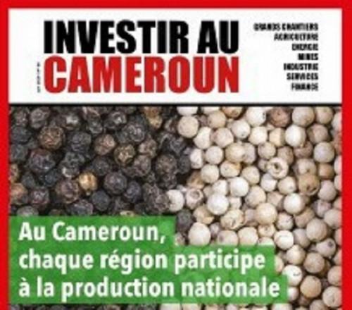 Au Cameroun, chaque région participe à la production nationale