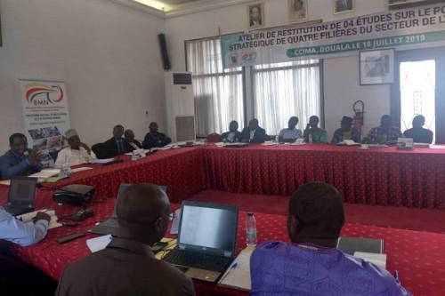Le Bureau de mise à niveau des entreprises camerounaises restitue des études sur quatre filières de l’agroalimentaire