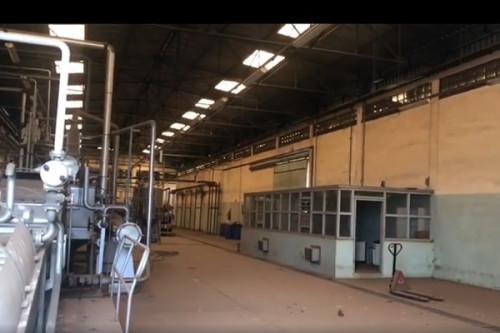 20 ans après sa fermeture, la Société des conserveries alimentaires du Noun, située à l’ouest du Cameroun, sera réhabilitée
