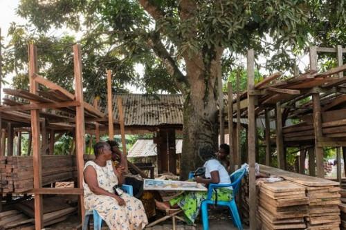 Avec 3/4 de bois illégal sur son marché, le Cameroun prépare une plateforme pour les transactions de bois légal