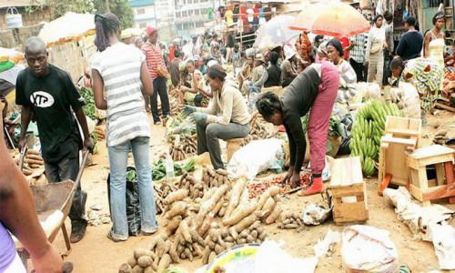 Le Cameroun s’apprête à voter une loi sur la sécurité alimentaire