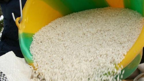 Cameroun : le gouvernement et les opérateurs des filières s’accordent sur une stabilisation des prix du poisson et du riz