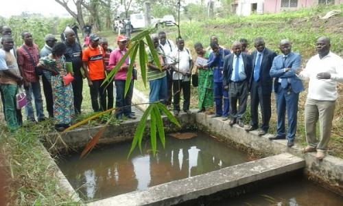 Les pisciculteurs camerounais peaufinent une stratégie pour booster l’aquaculture dans le pays