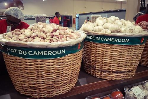 L’enseigne française Carrefour réalise plus de 70% de son chiffre d’affaires grâce au made in Cameroun